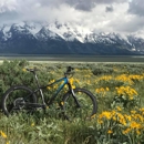 Teton Mountain Bike Tours - Bicycle Rental