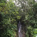 Lyon Arboretum - Botanical Gardens