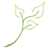 The ENT & Allergy Centers of Texas gallery