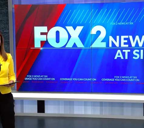 Ktvi Fox - Saint Louis, MO. Sandy Miller on FOX 2 News, 2021