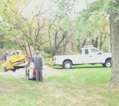 Whole Tree Care by Trapper's Tree Service (Columbus, Ohio) - Hilliard, OH