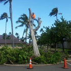 Island Trees