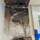 Quality Mold Remediation - Building Restoration & Preservation