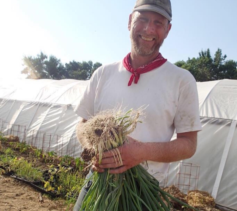 FarmTableWest - Cody, WY. Scott and his Green Onions