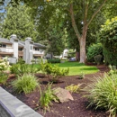 Totem Lake Heights - Apartments