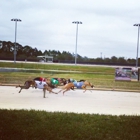 Daytona Beach Kennel Club and Poker Room