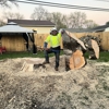 A Tree's Worth Tree Care gallery
