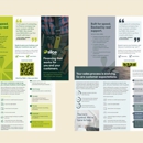 Kassel Creative - Marketing Programs & Services