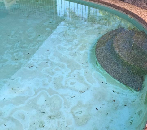 Sharkies Pools Service