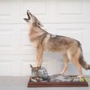 sweeney's wildlife taxidermy - Taxidermists