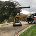 Complete Horticulture & Tree Service