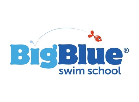 Big Blue Swim School - Dulles, VA