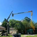 Kono Tree Care - Tree Service