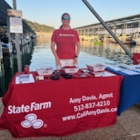 Amy Davis - State Farm Insurance Agent
