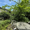 Dan's Landscaping gallery
