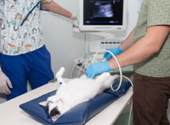 The Veterinary Hospital North - Clarkson, WA