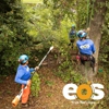 eos Tree Services gallery