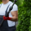 Premier Tree Care gallery