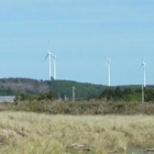 Grayland Beach State Park