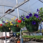 Shelby Nursery & Garden Center