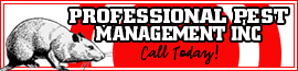 Business Banner