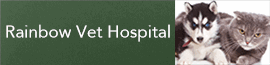 Business Banner