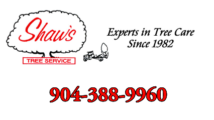 Shaw's Tree Service