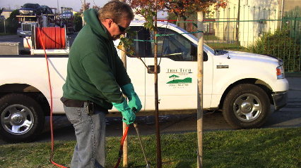 Tree Tech Services - Sacramento, CA