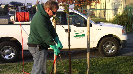 Tree Tech Services